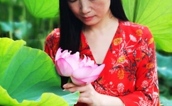 狼群在线观看免费高清2019